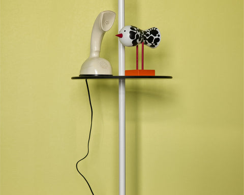 Timeless Treasures Harmonizing: Haus Paepke Becomes Home to Birds 1967