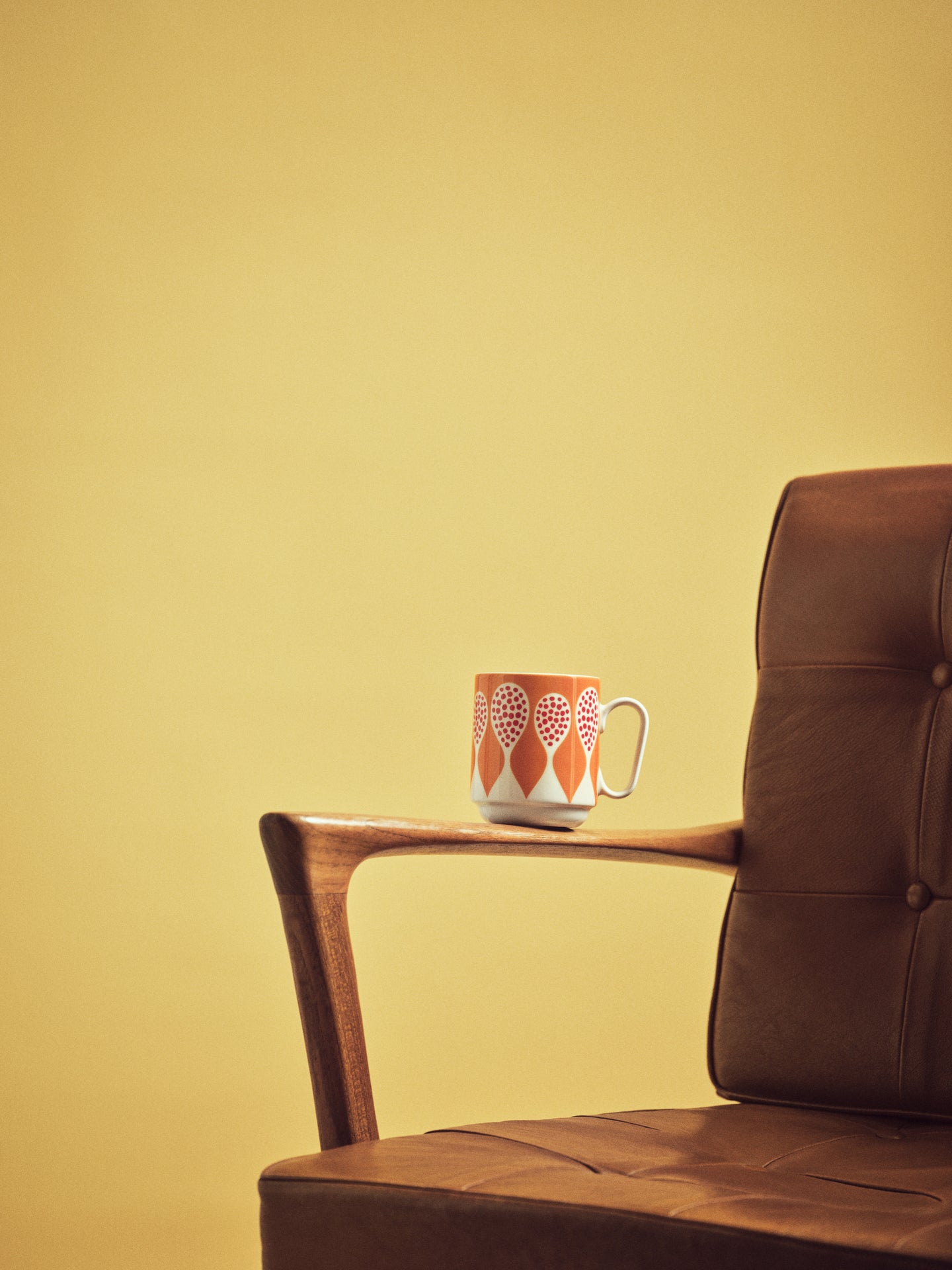 Birds 1967 Mug
