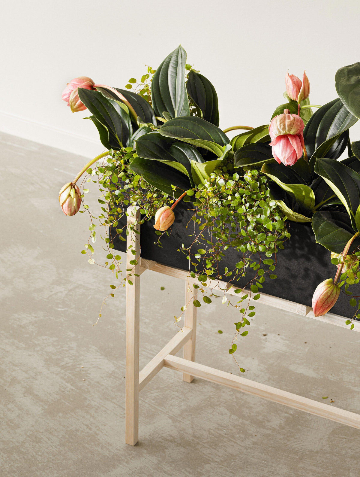 Outnet Kalmar Design House Stockholm Pop Up Summer Outlet i Kalmar