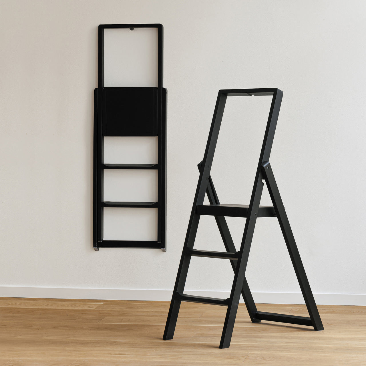 Step Stepladder