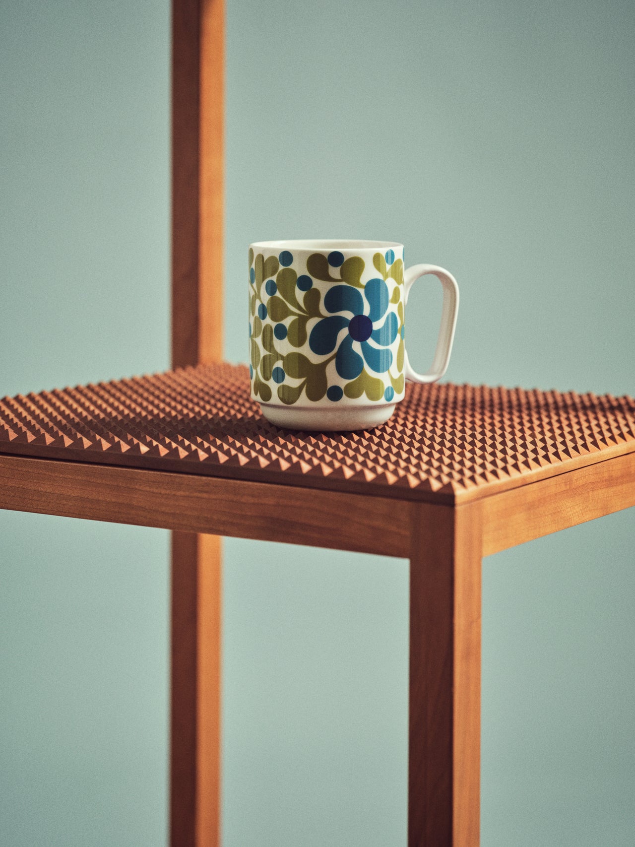 Birds 1967 Mug