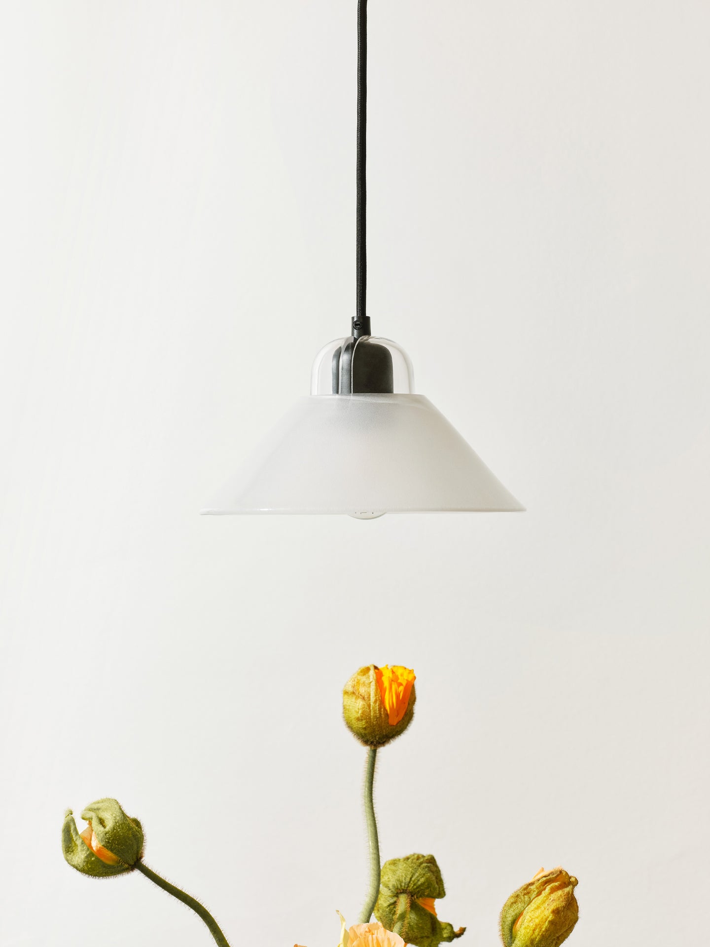 Kalo Lamp