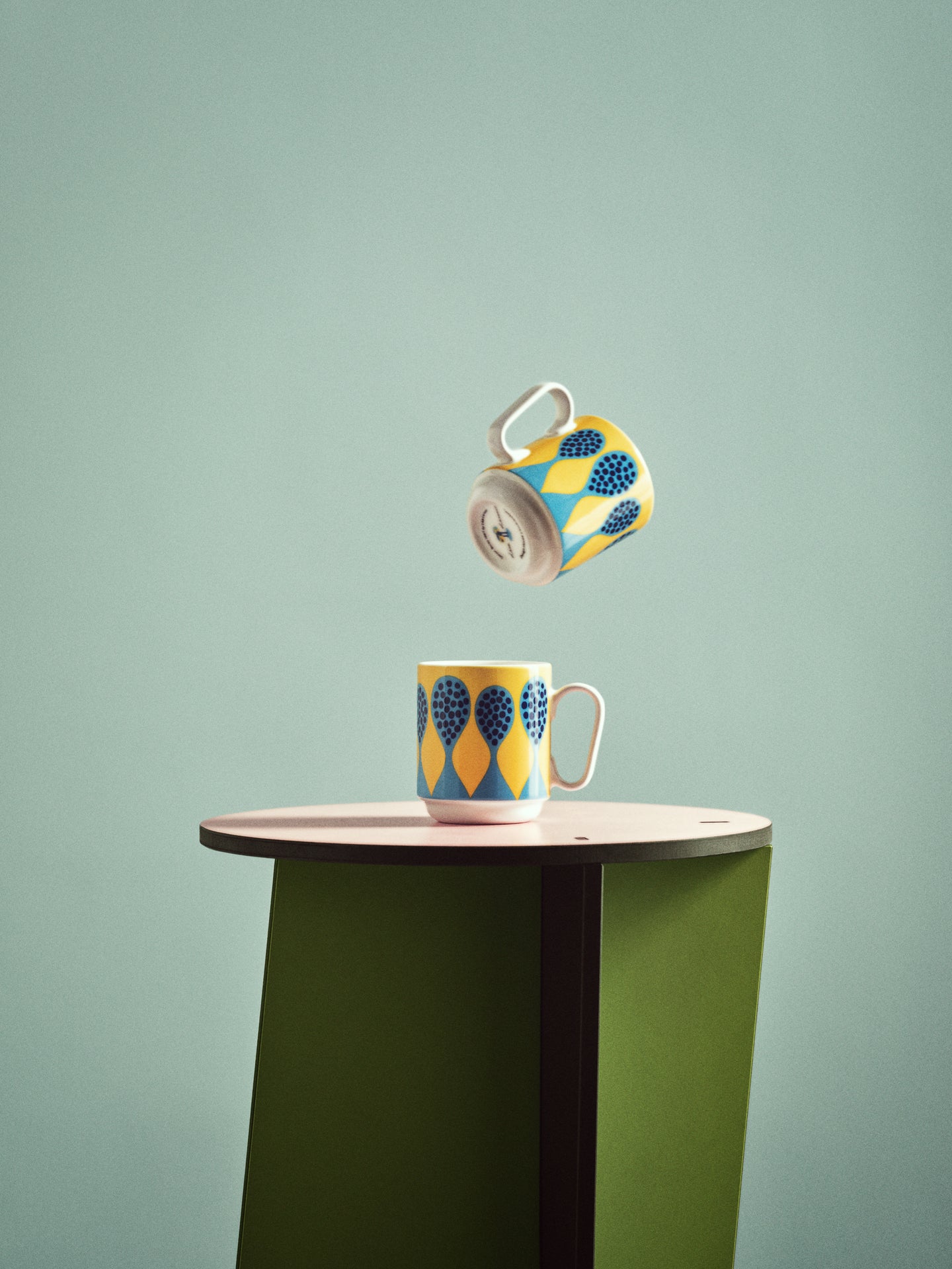 Birds 1967 Mug