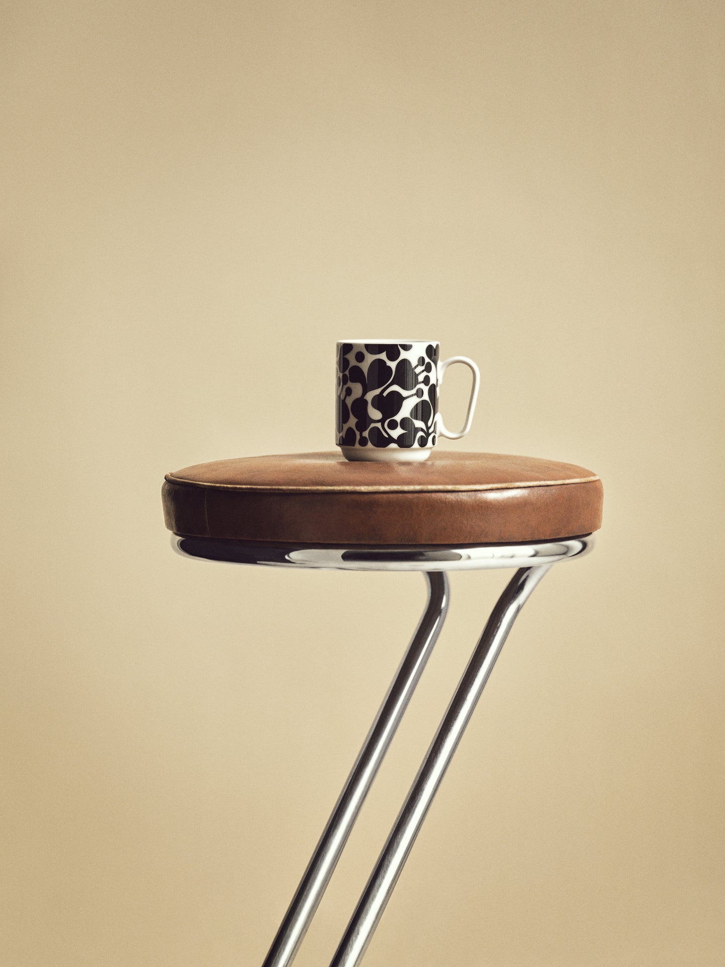 Birds 1967 Mug