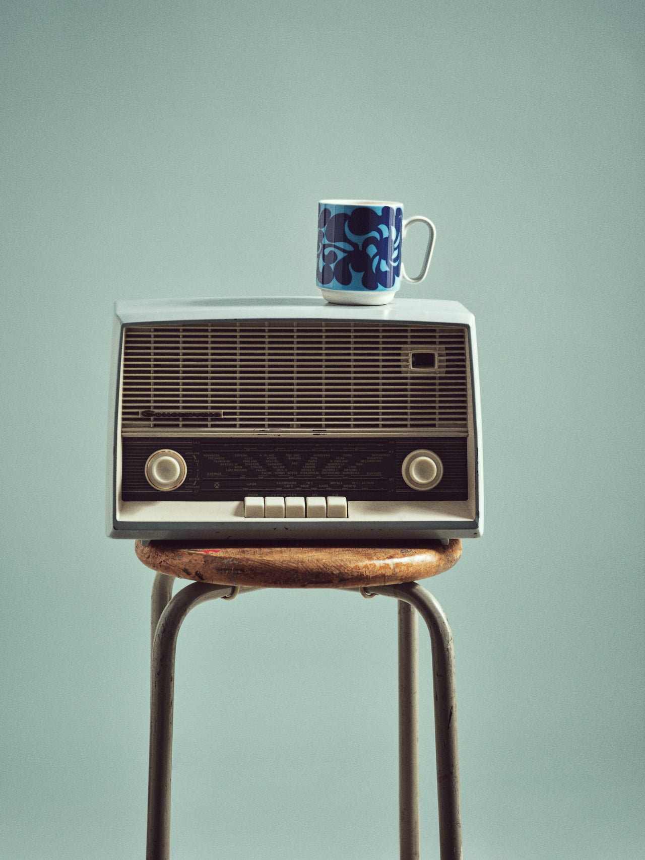 Birds 1967 Mug